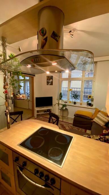 Lovely Apartment In The Centre, Street Level And Inner Yard Helsinki Exterior foto